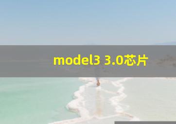 model3 3.0芯片